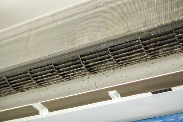 Best Commercial Air Duct Cleaning  in Sturgeon Bay, WI